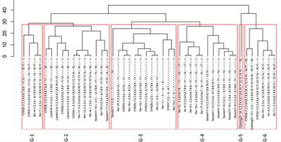 Identification of Puccinia striiformis races from the spring wheat crop in Xinjiang, China